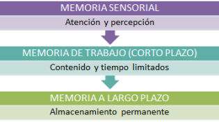 memoria-procesamiento-informacion
